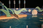 02-08-08海洋公園_189
