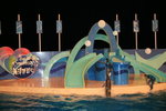 02-08-08海洋公園_195