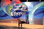 02-08-08海洋公園_198