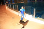 02-08-08海洋公園_199