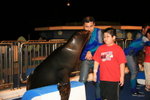 02-08-08海洋公園_202