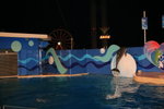 02-08-08海洋公園_241