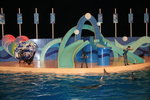 02-08-08海洋公園_244