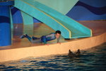02-08-08海洋公園_245