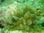DSCF3152