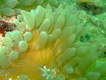 DSCF3153