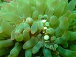 DSCF3162
