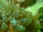 DSCF3167