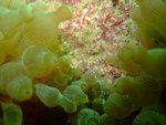 DSCF_05