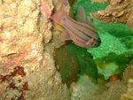 DSCF_07