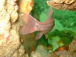 DSCF_08