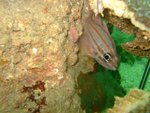 DSCF_09