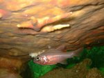 DSCF_10