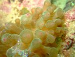 DSCF_11