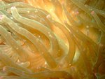 DSCF_15