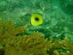 DSCF_16