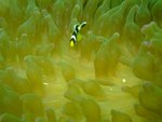 DSCF_18