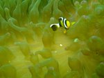 DSCF_19