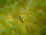 DSCF_20
