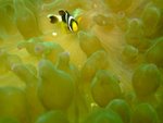 DSCF_21