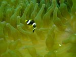 DSCF_22