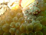 DSCF_24