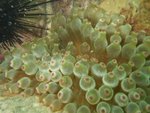 DSCF_29