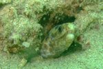 DSCF_32