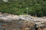(旅聯)鶴咀清潔海岸_042