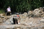 (旅聯)鶴咀清潔海岸_046