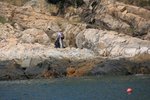 (旅聯)鶴咀清潔海岸_050