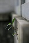 週日(仙湖,東湖)_049