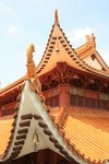 週日(仙湖,東湖)_063