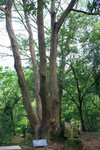 週日(仙湖,東湖)_084
