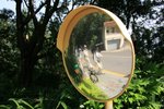 週日(仙湖,東湖)_185