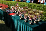 Stanley Ching_0347