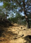 2009登山節_011