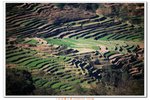 尼泊爾(24-25)_362