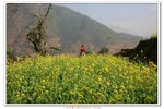 尼泊爾_005