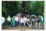 Stanley荔吉鴨_061