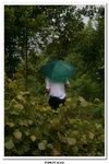 Stanley荔吉鴨_066