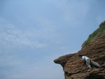 DSC00168