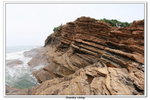 02-08-2009 東平洲F_063