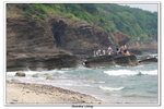 02-08-2009 東平洲F_111