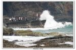 02-08-2009 東平洲F_115