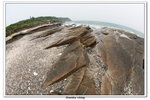 02-08-2009 東平洲F_116