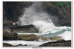 02-08-2009 東平洲F_117