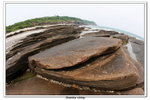 02-08-2009 東平洲F_125