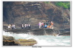 02-08-2009 東平洲F_130