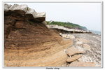02-08-2009 東平洲F_137